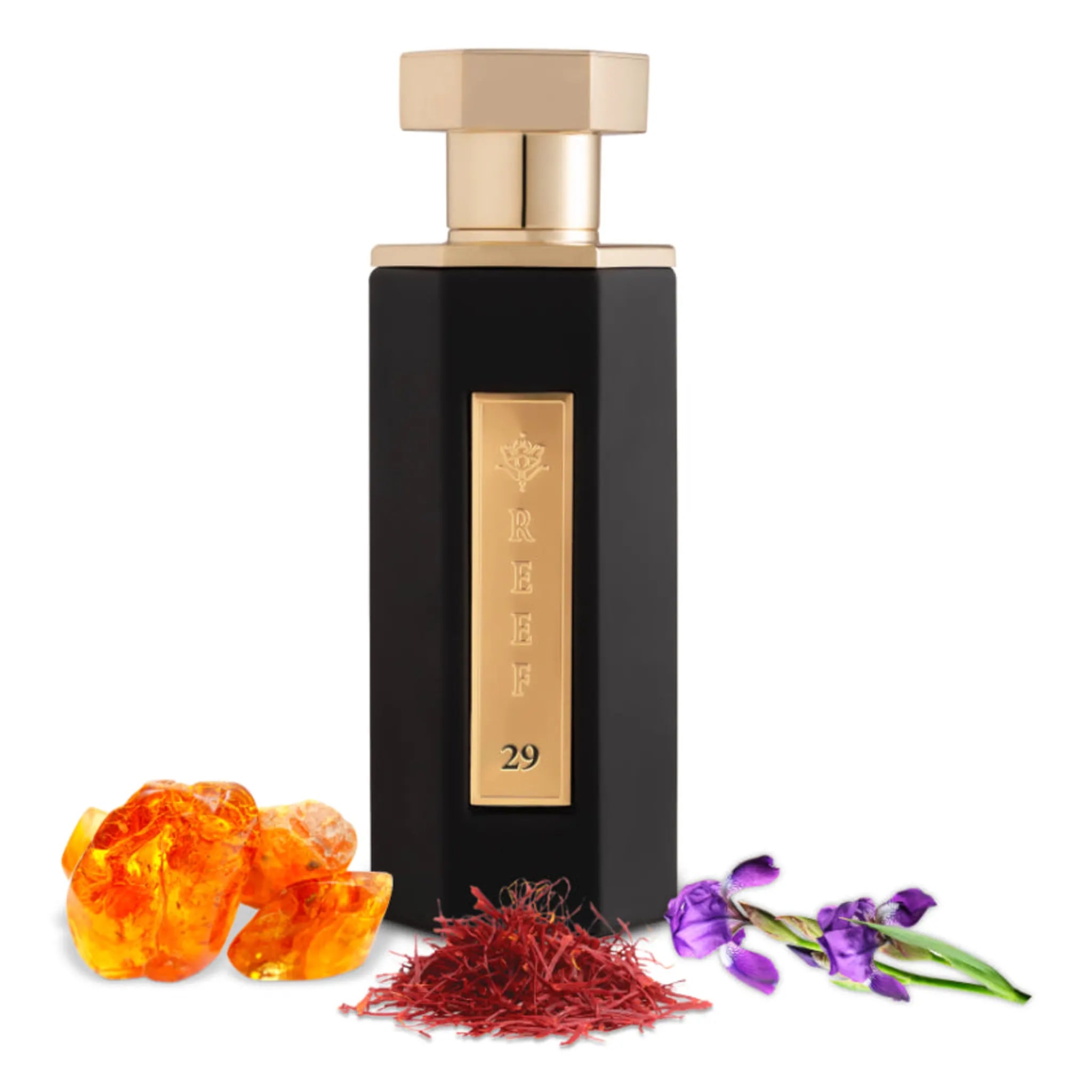 Front view of REEF 29 Eau De Parfum 100ml